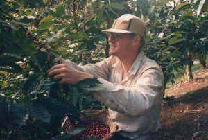 1987 January Alan picking coffee Nicaragua work brigade pic by Janene